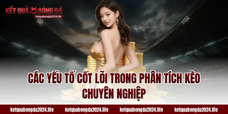 Các yếu tố cốt lõi trong phân tích tỷ lệ kèo chuyên nghiệp